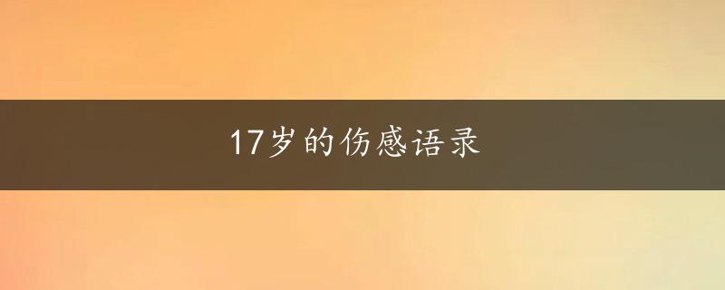 17岁的伤感语录