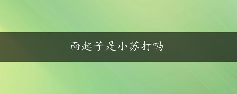 面起子是小苏打吗