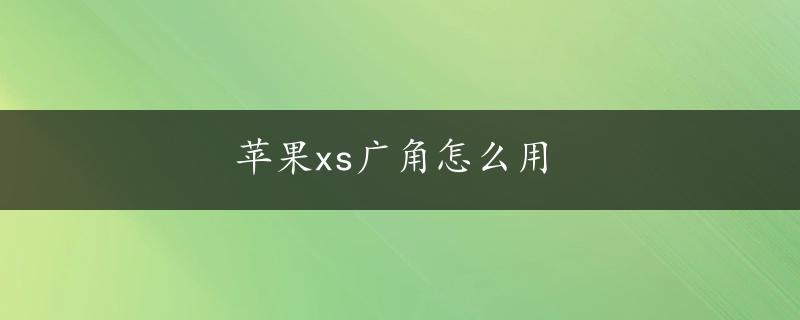 苹果xs广角怎么用