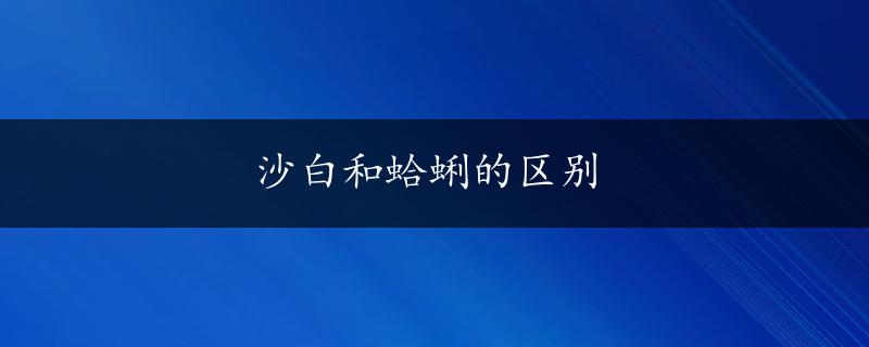 沙白和蛤蜊的区别