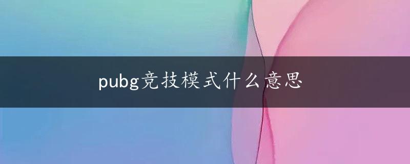 pubg竞技模式什么意思