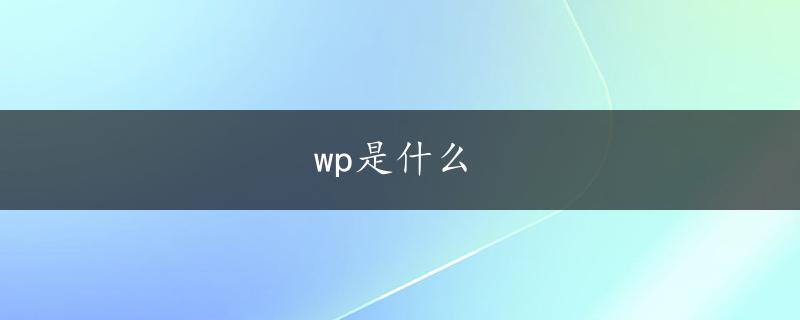 wp是什么