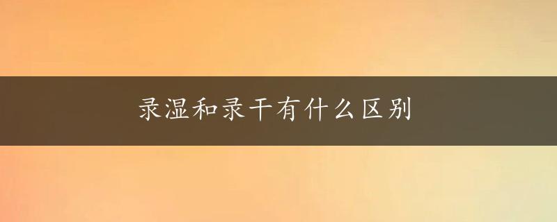 录湿和录干有什么区别