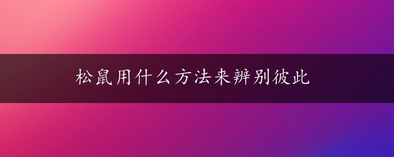 松鼠用什么方法来辨别彼此