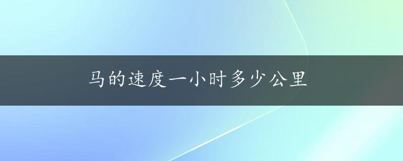 马的速度一小时多少公里