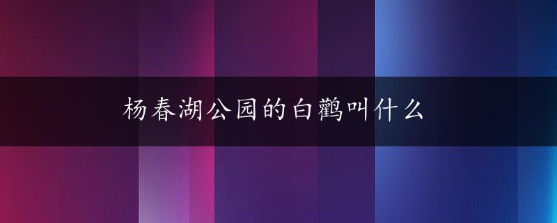 杨春湖公园的白鹳叫什么