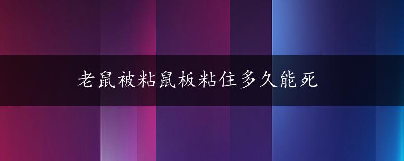 老鼠被粘鼠板粘住多久能死