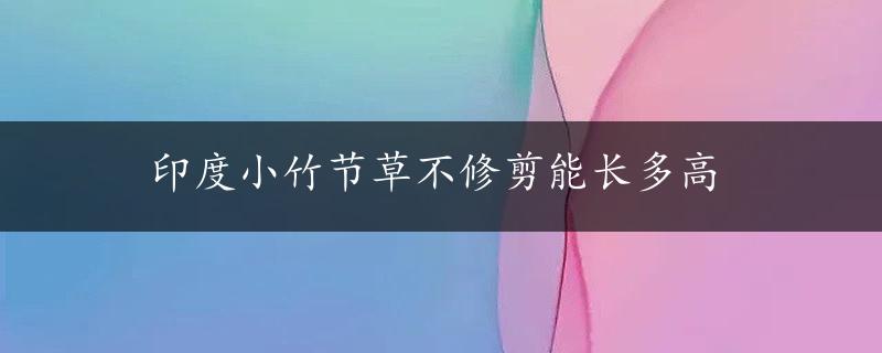 印度小竹节草不修剪能长多高