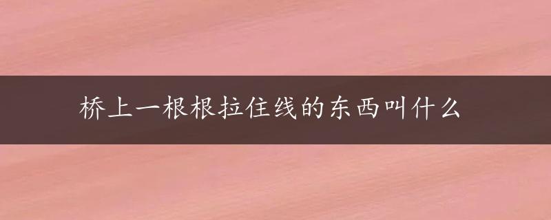 桥上一根根拉住线的东西叫什么