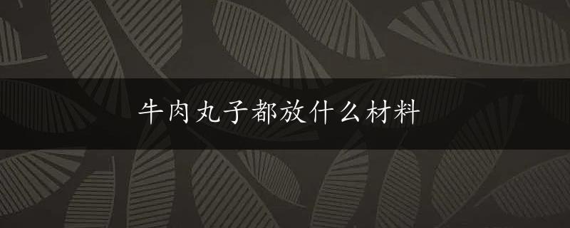 牛肉丸子都放什么材料