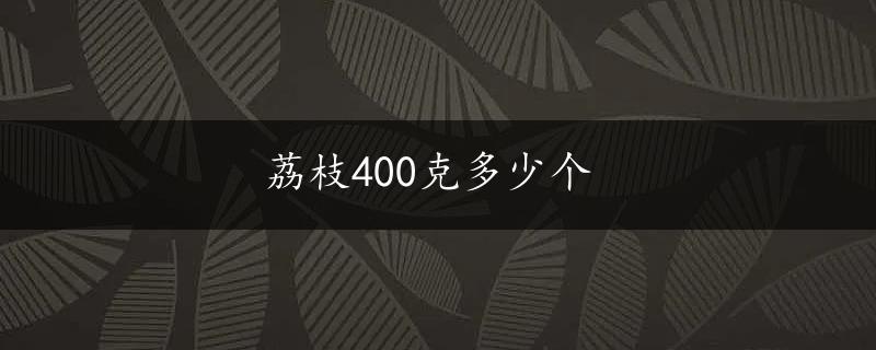 荔枝400克多少个