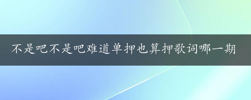 不是吧不是吧难道单押也算押歌词哪一期