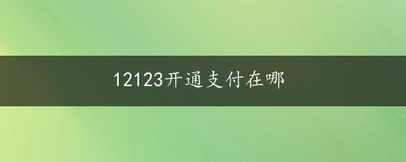 12123开通支付在哪