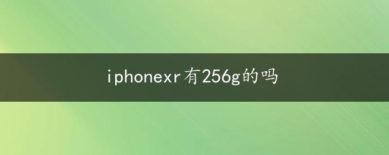 iphonexr有256g的吗