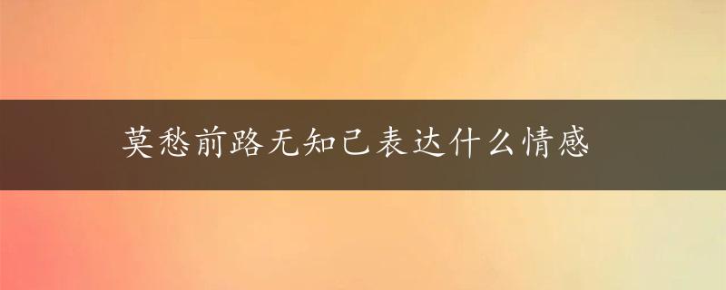 莫愁前路无知己表达什么情感