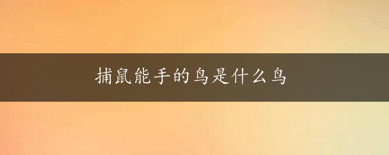 捕鼠能手的鸟是什么鸟