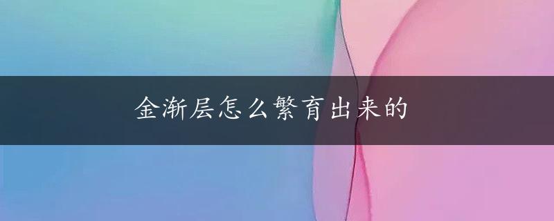 金渐层怎么繁育出来的