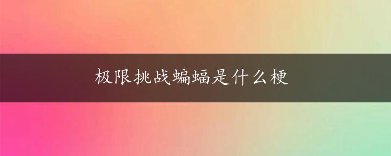 极限挑战蝙蝠是什么梗