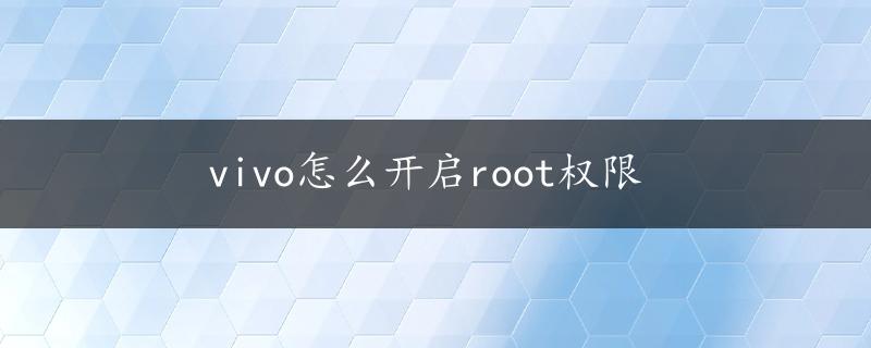 vivo怎么开启root权限