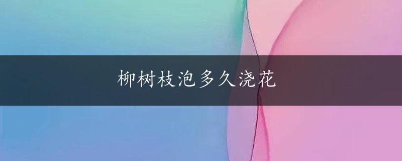 柳树枝泡多久浇花