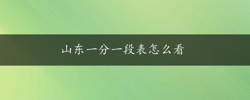 山东一分一段表怎么看