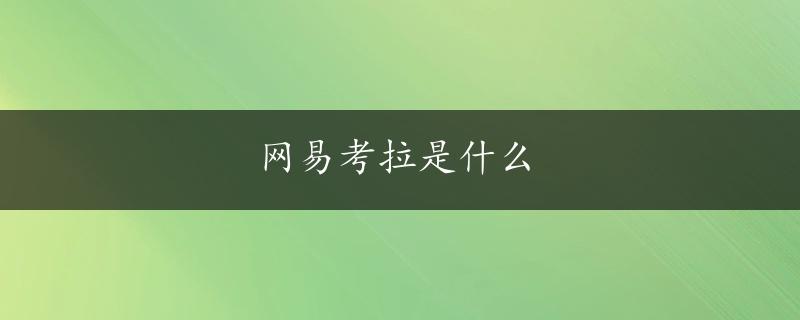 网易考拉是什么