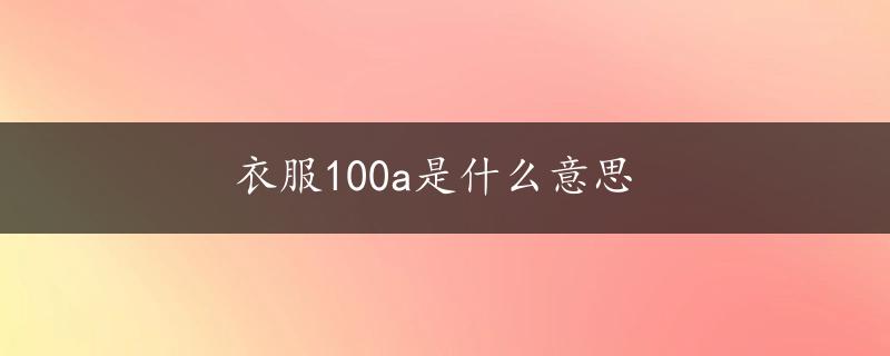 衣服100a是什么意思