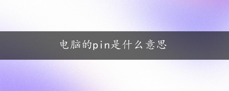 电脑的pin是什么意思