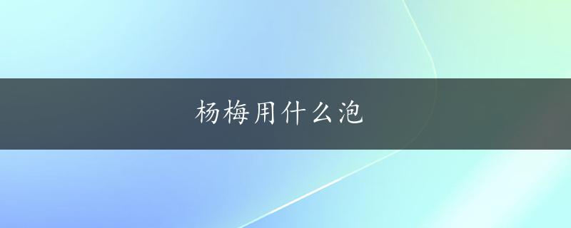 杨梅用什么泡