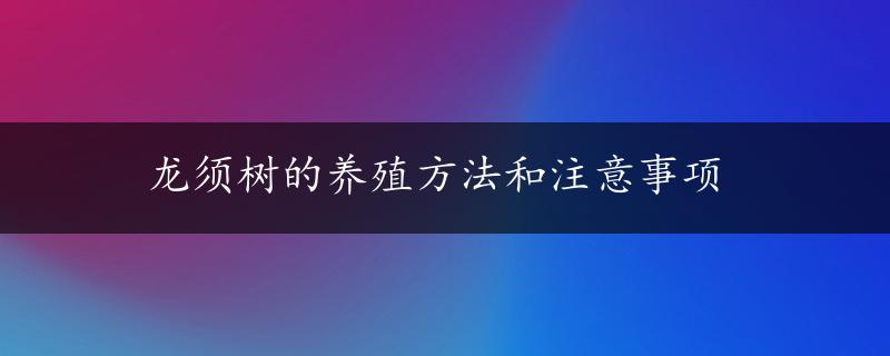 龙须树的养殖方法和注意事项