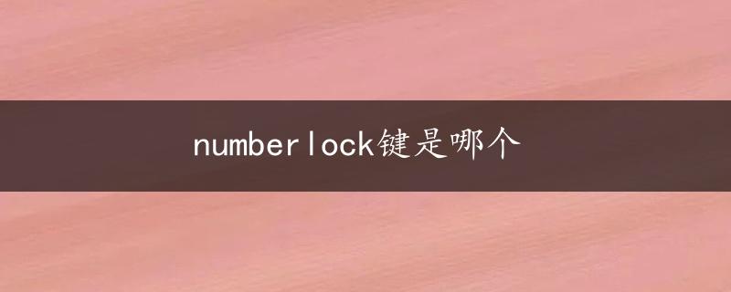 numberlock键是哪个