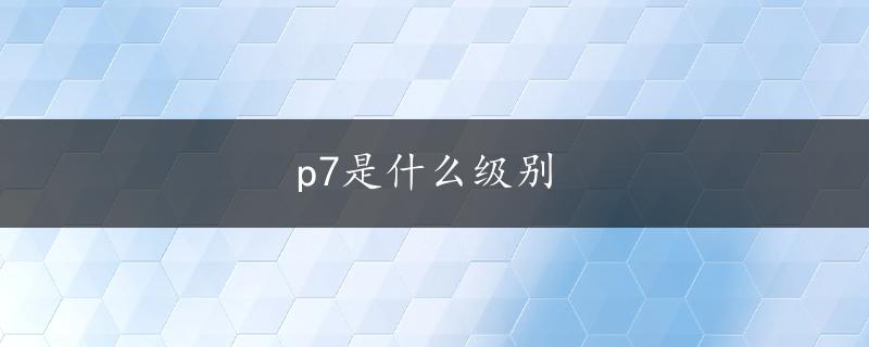 p7是什么级别