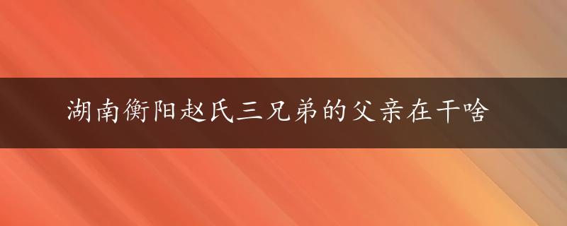 湖南衡阳赵氏三兄弟的父亲在干啥