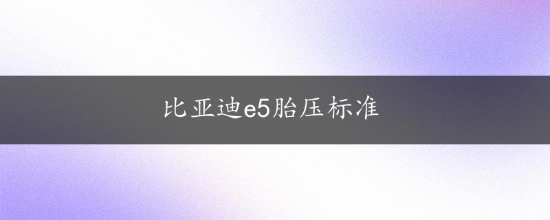 比亚迪e5胎压标准