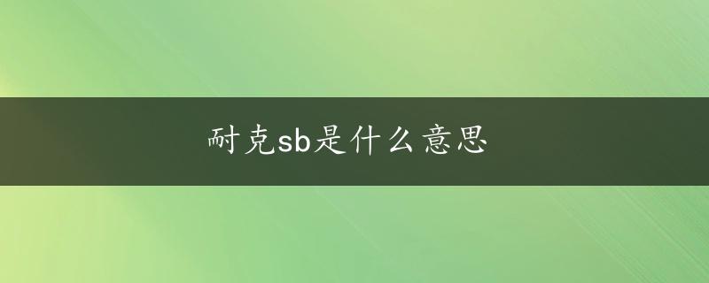 耐克sb是什么意思