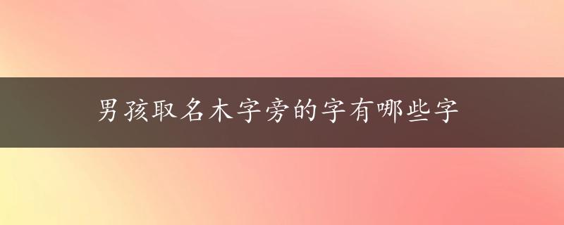 男孩取名木字旁的字有哪些字