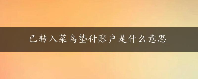 已转入菜鸟垫付账户是什么意思