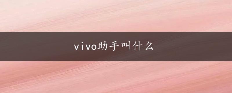 vivo助手叫什么