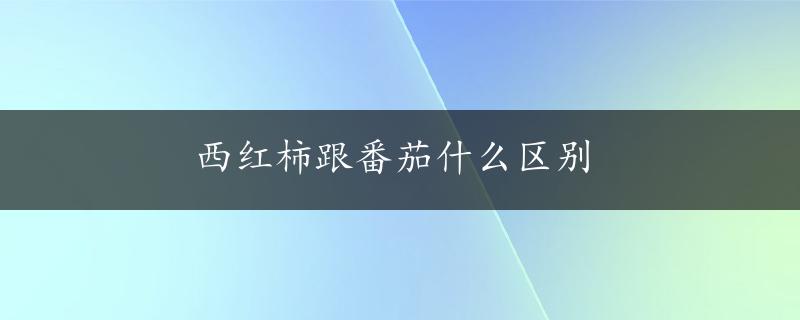 西红柿跟番茄什么区别