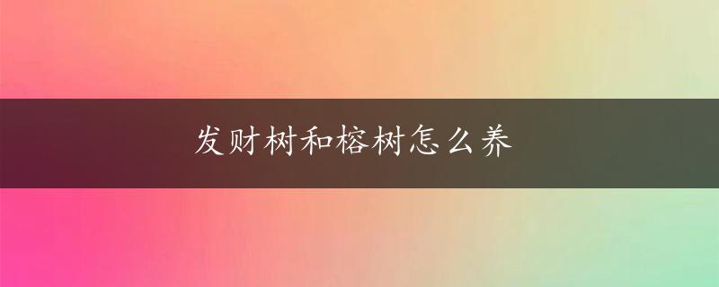 发财树和榕树怎么养