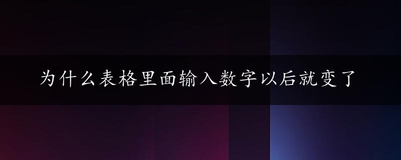 为什么表格里面输入数字以后就变了