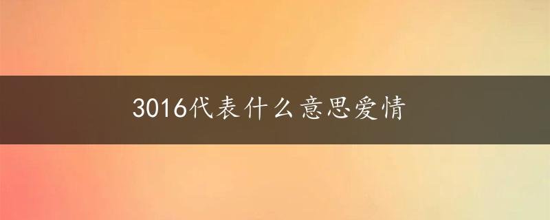 3016代表什么意思爱情