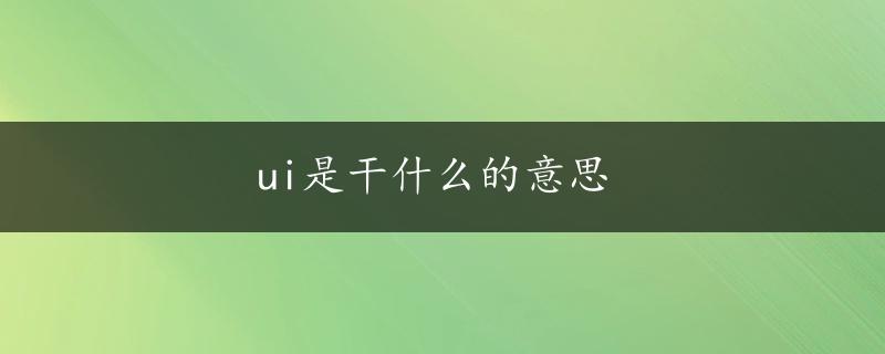 ui是干什么的意思