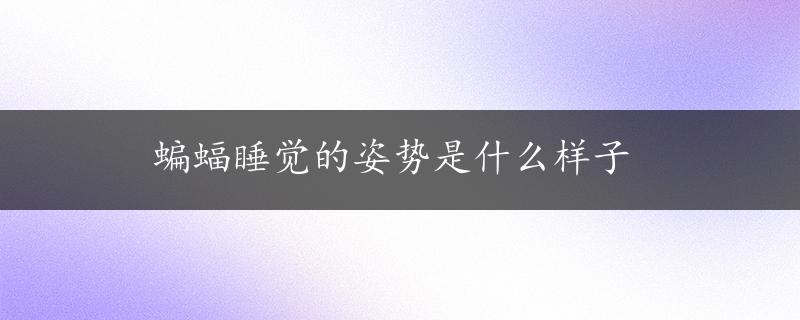 蝙蝠睡觉的姿势是什么样子