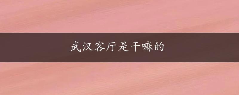 武汉客厅是干嘛的