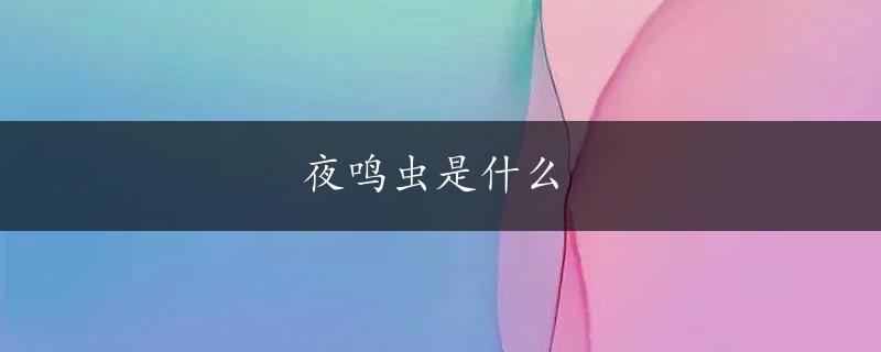 夜鸣虫是什么