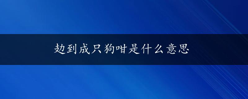 攰到成只狗咁是什么意思