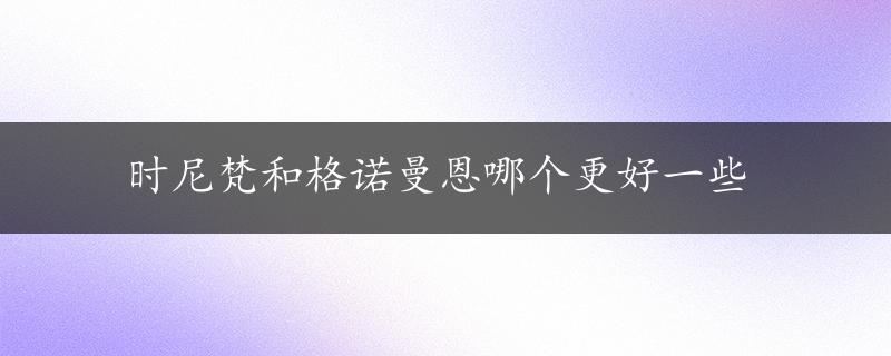 时尼梵和格诺曼恩哪个更好一些