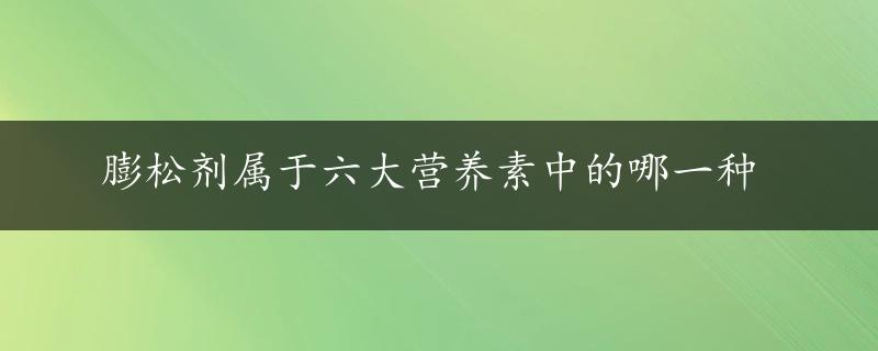 膨松剂属于六大营养素中的哪一种