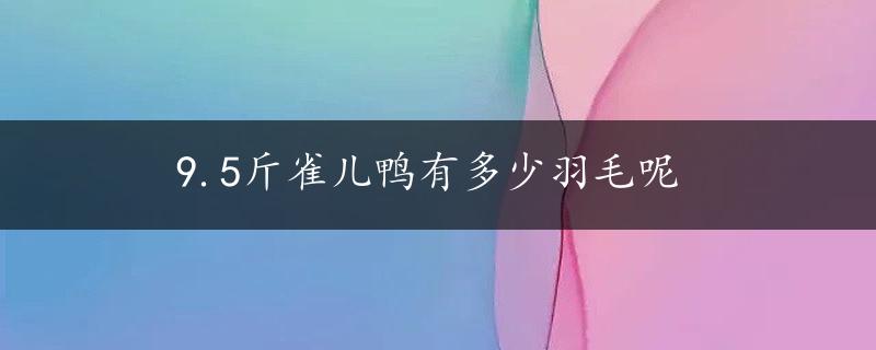 9.5斤雀儿鸭有多少羽毛呢